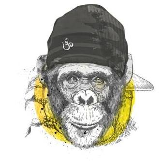 Primal Herb logo