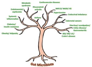 The Gut Institute logo