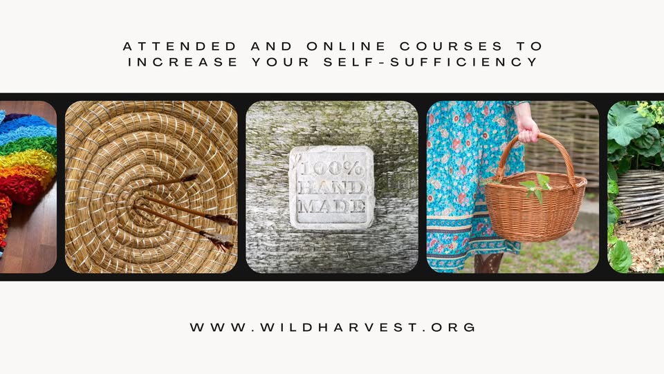Wild Harvest School logo
