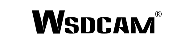 Wsdcam logo