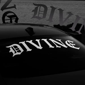 Divine Aspiration logo